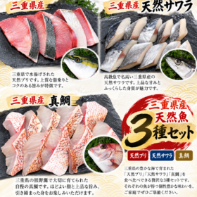 伊勢の「まるか水産」さん 厳選の三重県産 3種食べ比べセット（天然ブリ・天然サワラ・真鯛）