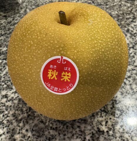 仲卸会社「丸仙商店」さん厳選の鳥取県産 ブランド梨「秋栄」