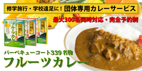 団体専用カレー食堂
